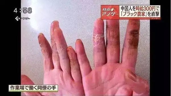 点击查看大图
