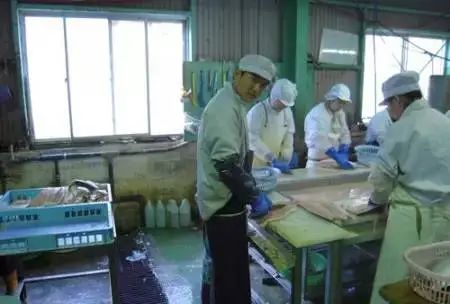 点击查看大图